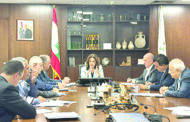 وزيرة الشؤون عرضت مع نواب شماليين في أولويات الحماية الإجتماعية