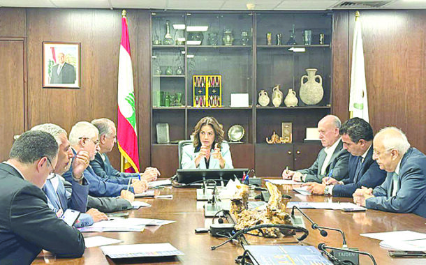 وزيرة الشؤون عرضت مع نواب شماليين في أولويات الحماية الإجتماعية