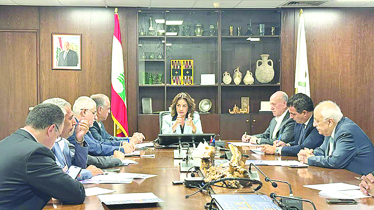 وزيرة الشؤون عرضت مع نواب شماليين في أولويات الحماية الإجتماعية